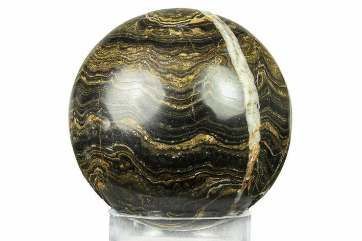 Polished Stromatolite (Greysonia) Sphere - Bolivia #302469
